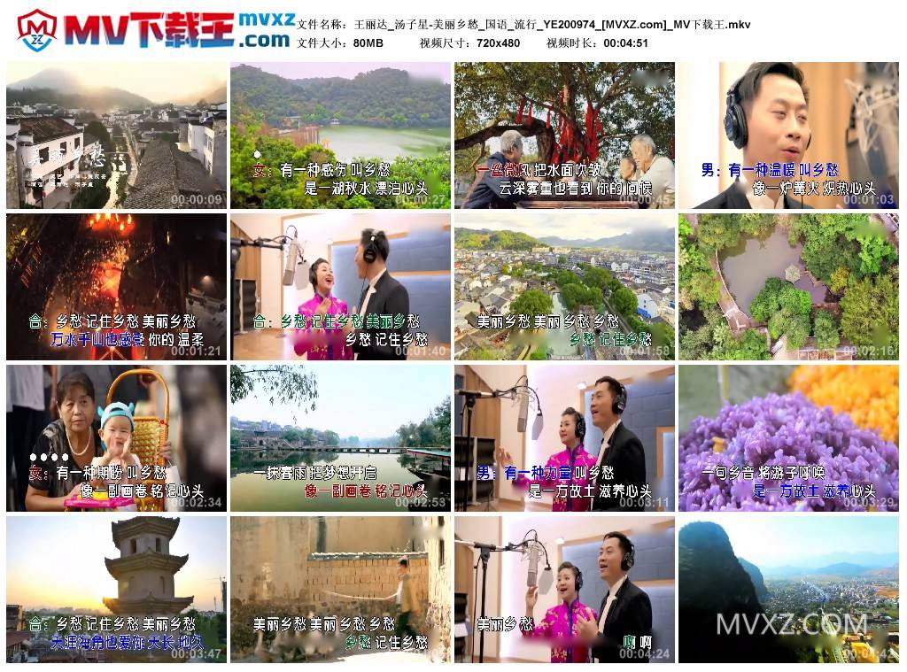 王丽达_汤子星-美丽乡愁_国语_流行_YE200974